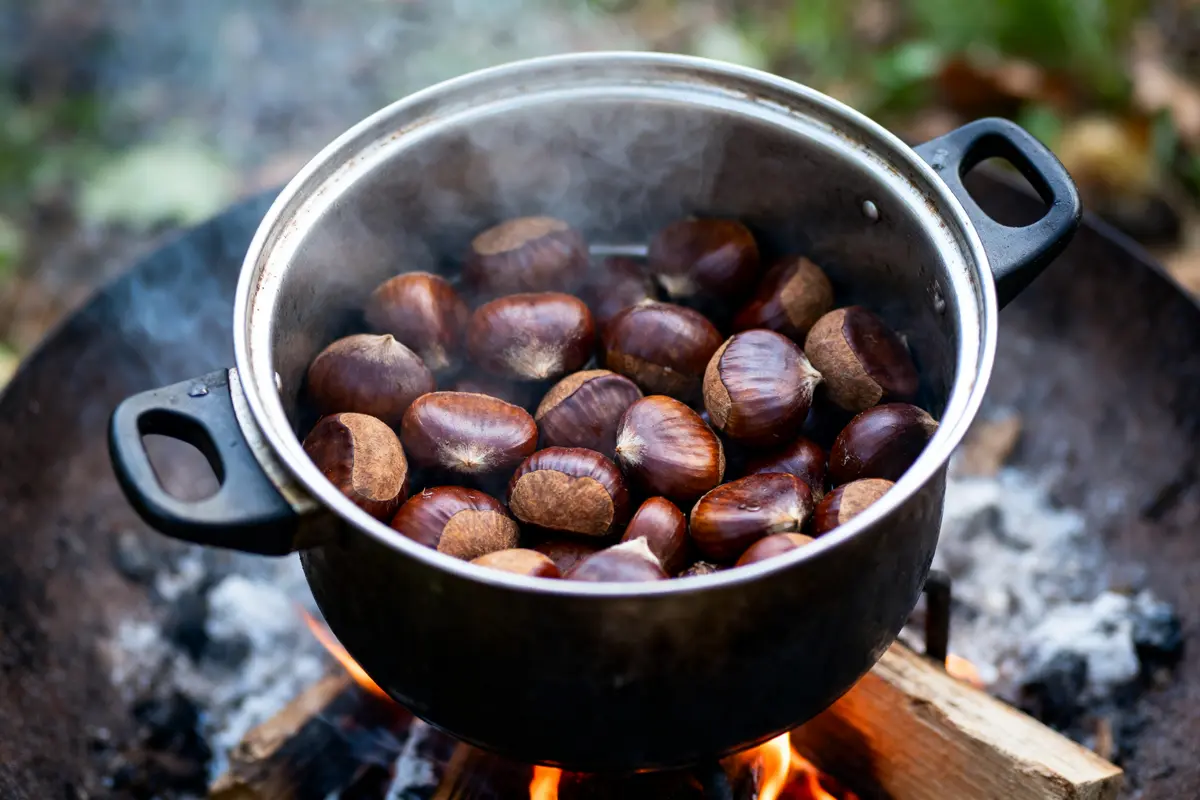 Châtaignes grillant dans une marmite sur feu extérieur, avec fumée visible et ambiance forestière.