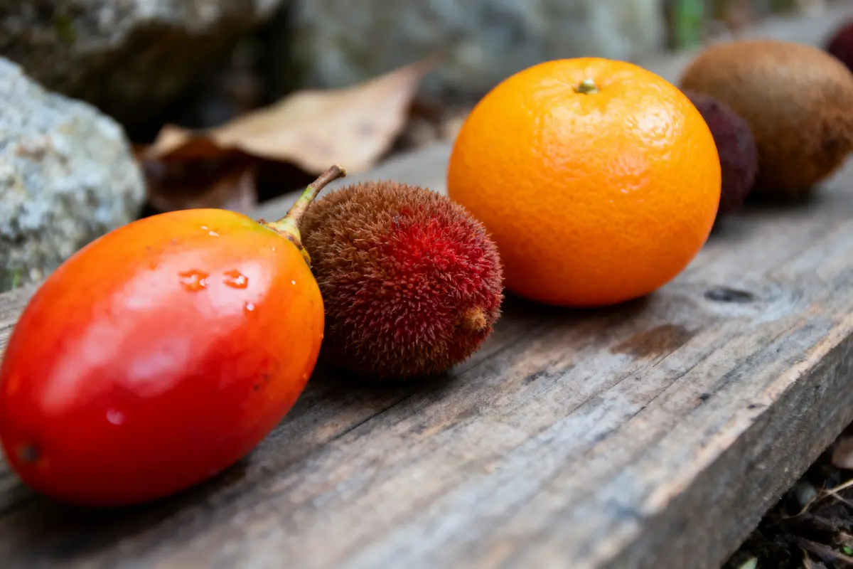 Fruits variés sur une planche en bois : tomate, fruit rouge, orange, kiwi. Fond flou.