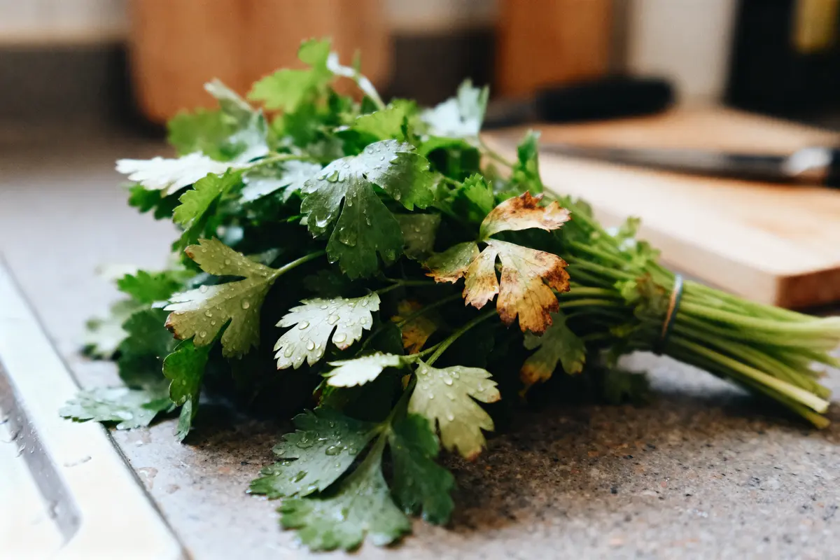 Bouquet de persil frais avec gouttes d'eau, posé sur un plan de travail de cuisine.