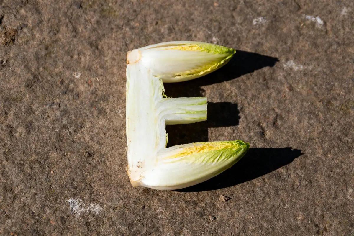 Lettre "E" formée avec des morceaux d'endive blanche, sur surface de pierre. Ombre visible.