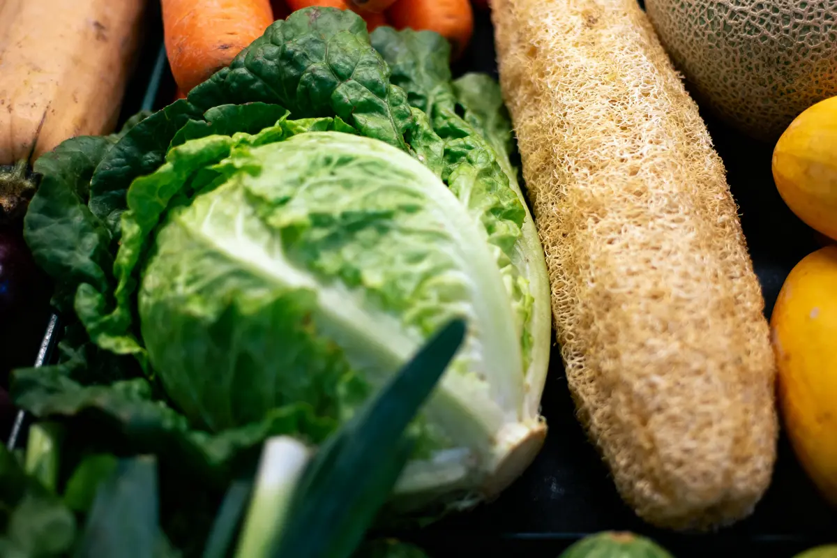 Légumes variés et loofah au marché, incluant choux, carottes et melons, en gros plan.