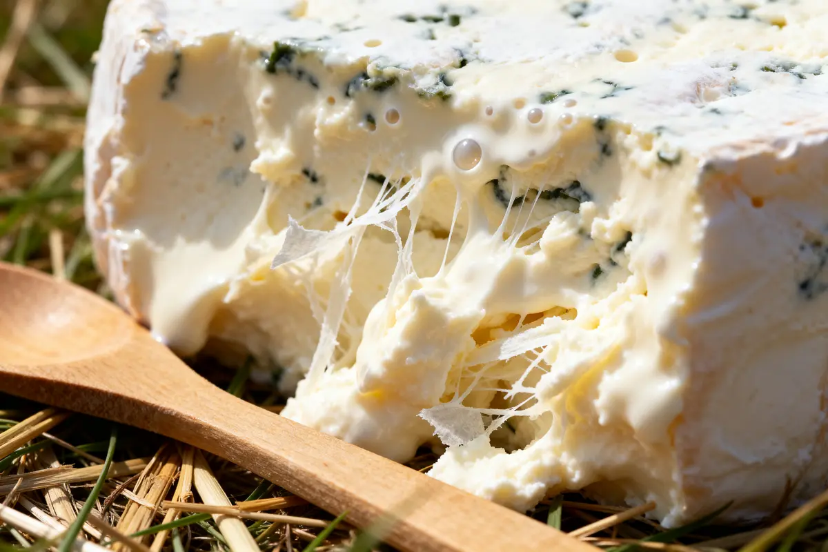 Fromage stracciatella fondant avec texture crémeuse et cuillère en bois sur paille sèche