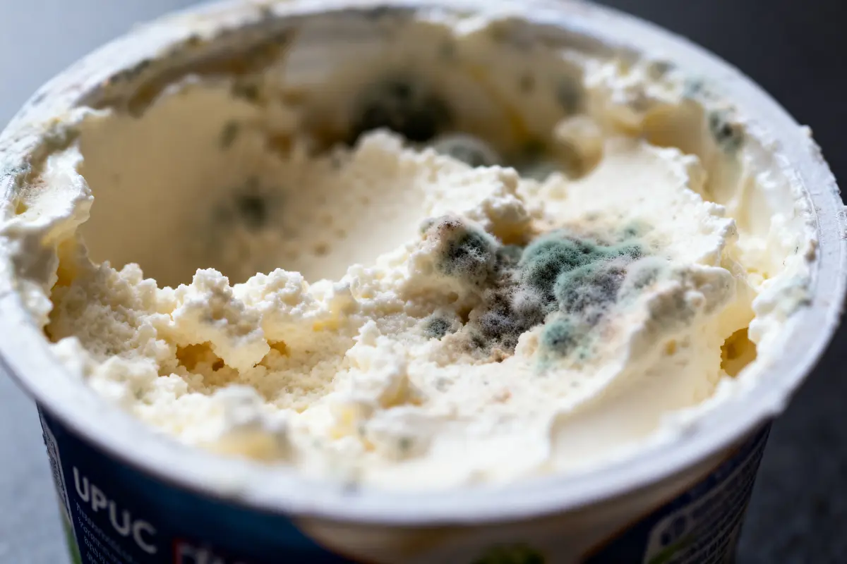 Pot de crème glacée avec moisissure verte et blanche à la surface.
